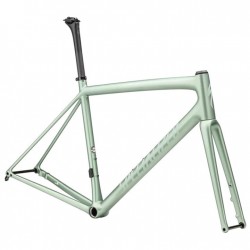 371 Specialized Set de cuadro carbono - AETHOS - Satin Metallic White Sage/White Sage