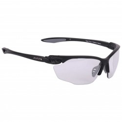 1089 Alpina Twist Four V Gafas - black grey / Varioflex+ black