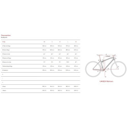 Raymon RaceRay 8.0 Apex 1x12 - 28 pulgadas - Diamante - 2024