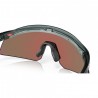 Oakley Hydra Gafas - Crystal Black/Prizm Violet