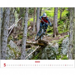 Freeride Calendario 2023