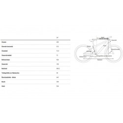 Cube Acid 240 Disc - 2023 - 24 pulgadas - Diamante